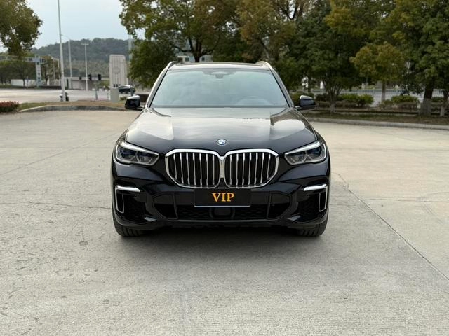 BMW X5 2022 Restyling xDrive 40Li Premium Class M Sports suit exterior photo 2