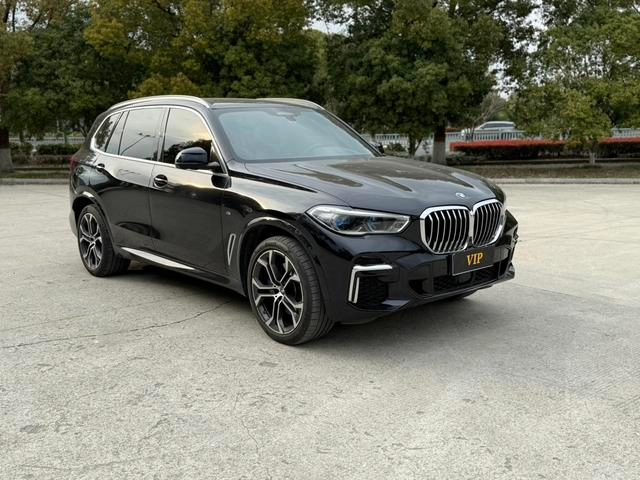 BMW X5 2022 Restyling xDrive 40Li Premium Class M Sports suit exterior photo 3
