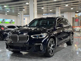 BMW X5 2022 Reforma xDrive 40Li M Conjunto deportivo exterior foto 1