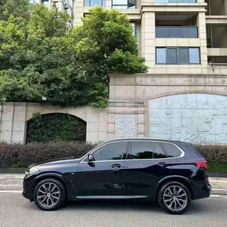 BMW X5 2021 xDrive30i M Sports suit exterior photo 3