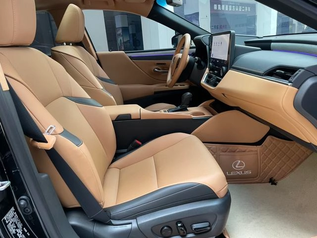 Lexus ES 2025 200 Premium Edition interior photo 17