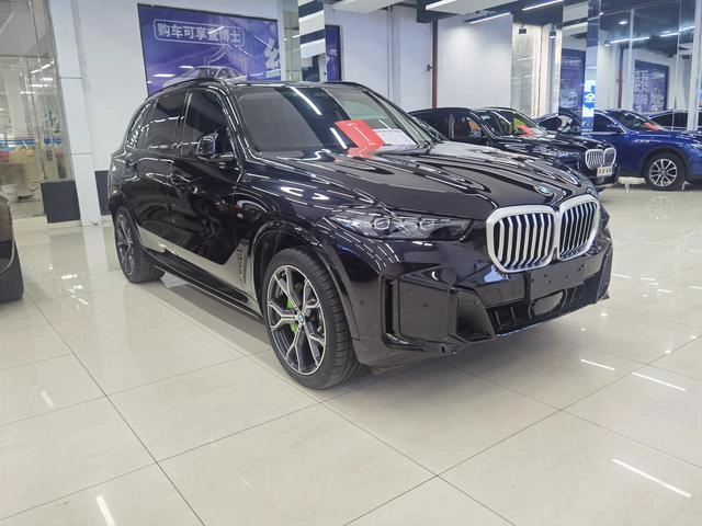 BMW X5 2023 xDrive30Li M Sports suit exterior photo 3