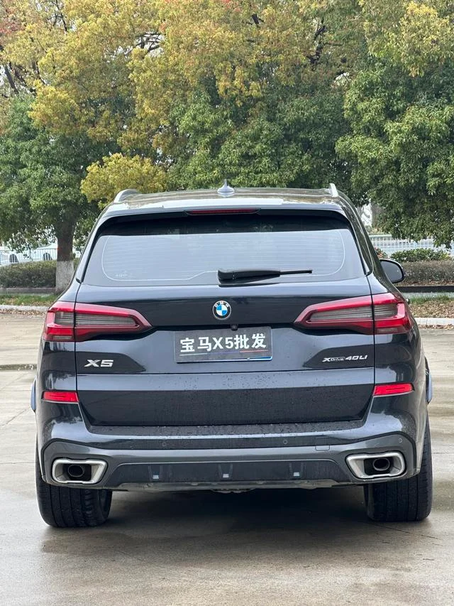 BMW X5 2022 Reforma xDrive 40Li M Conjunto deportivo interior foto 8 BMW X5 2022 Reforma xDrive 40Li M Conjunto deportivo interior foto 8