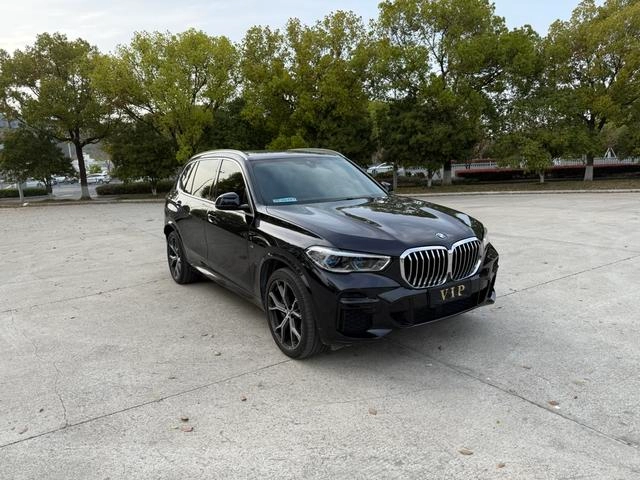 BMW X5 2022 Restyling xDrive 40Li M Sports suit exterior photo 3