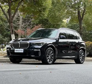 BMW X5 2022 xDrive 30Li M Sports suit exterior photo 1
