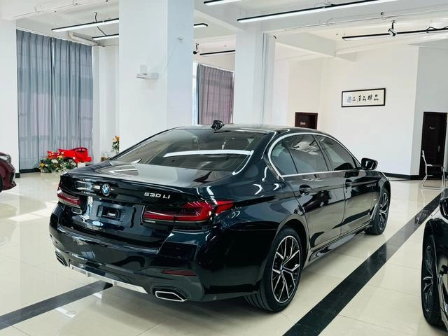 BMW 5 Series 2023 Restyling 530Li Premium Class Luxury Set interior photo 11