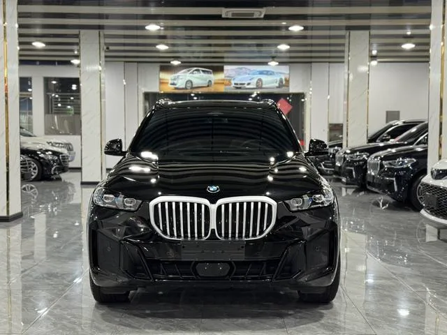 BMW X5 2023 xDrive40Li M Спортивный ночной костюм экстерьер фото 2