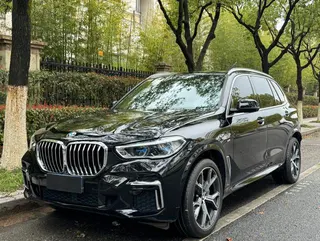 BMW X5 2022 Restyling xDrive 40Li M Sports suit exterior photo 1