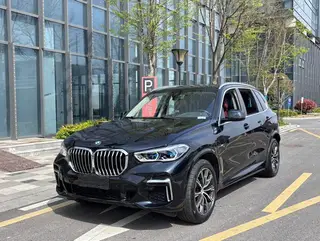 BMW X5 2022 Restyling xDrive 30Li M Sports suit exterior photo 1