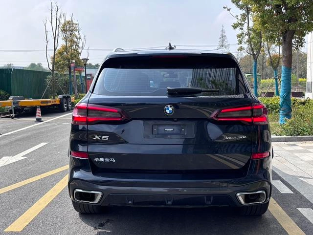 BMW X5 2022 Restyling xDrive 30Li M Sports suit exterior photo 4