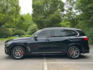 BMW X5 2022 xDrive 30Li Premium Class M Sports suit exterior photo 4