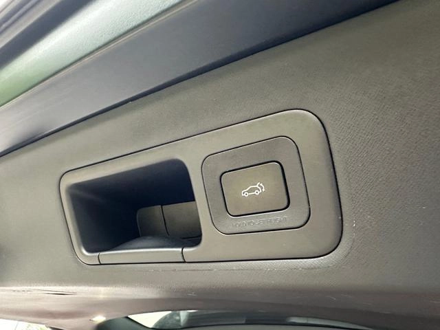 GAC Trumpchi M8 2024 Master Series 2.0TGDI Ultimate Edition interior photo 20