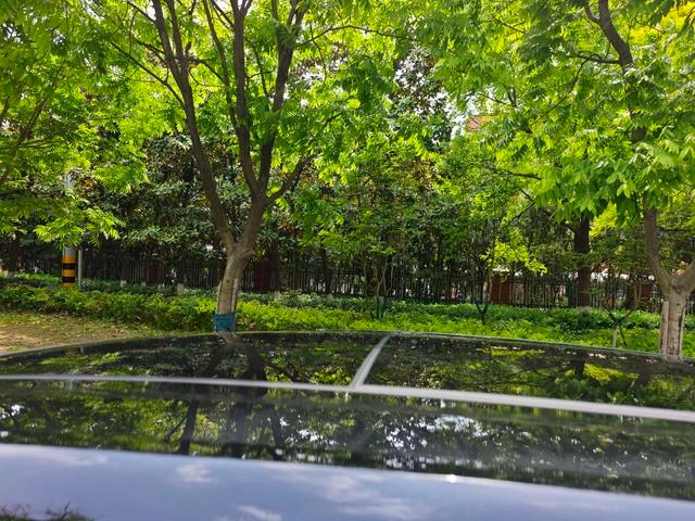 Volkswagen Viloran 2024 380TSI Zunchi Edition exterior photo 6