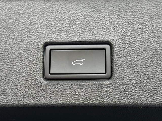 Volkswagen T-Roc 2024 300TSI DSG Chen Guang Edition interior photo 14
