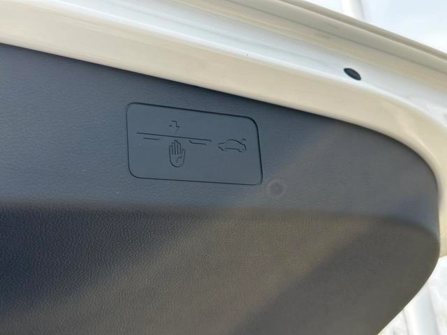 Volkswagen Golf GTI 2021 380TSI DSG GTI interior photo 14
