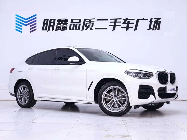BMW X4 2021 xDrive25i M Ensemble de sport extérieur photo 6