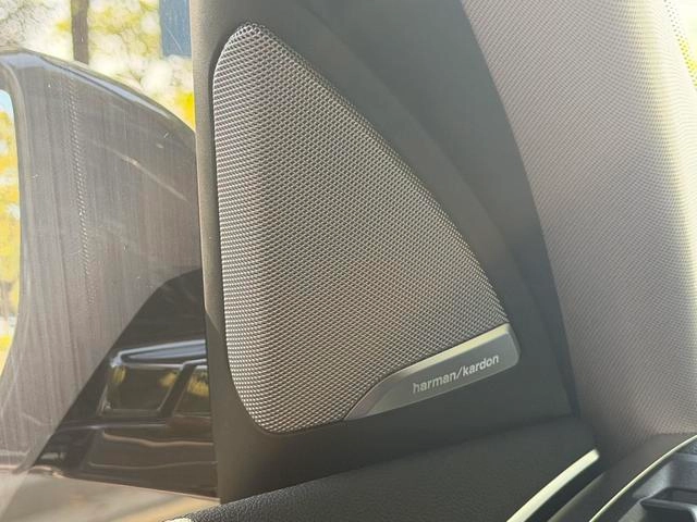 BMW X3 2023 xDrive30i Leading Type M Obsidian Night Suit interior photo 19