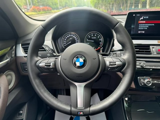 BMW X1 2020 xDrive25Li Premium Class interior photo 16