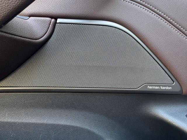 BMW 5 Series 2021 530Li Premium Class Luxury Set interior photo 13