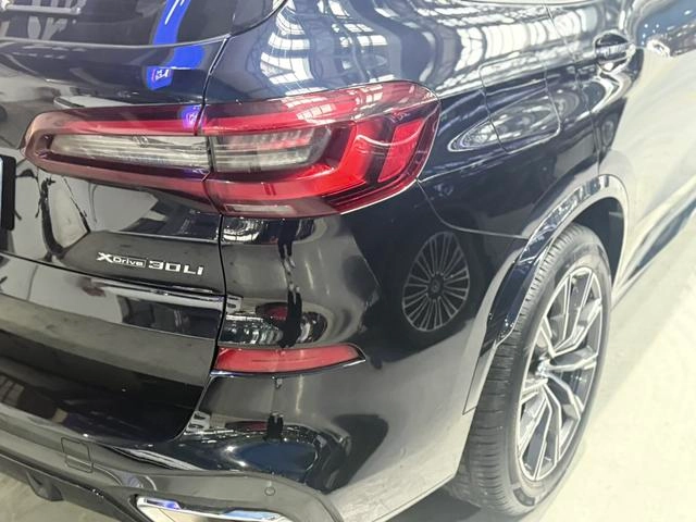BMW X5 2022 Restyling xDrive 30Li M Sports suit interior photo 10