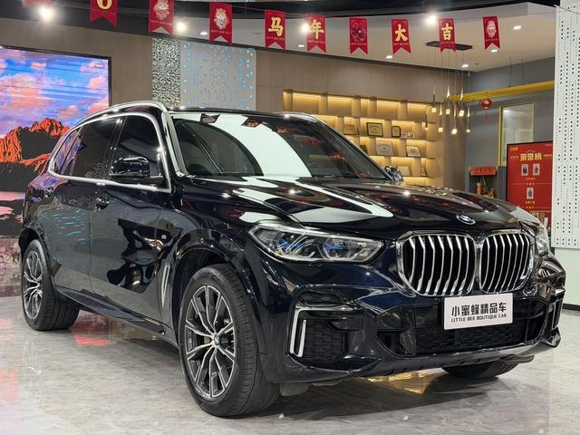 BMW X5 2022 xDrive 30Li Type de luxe M Ensemble de sport extérieur photo 3