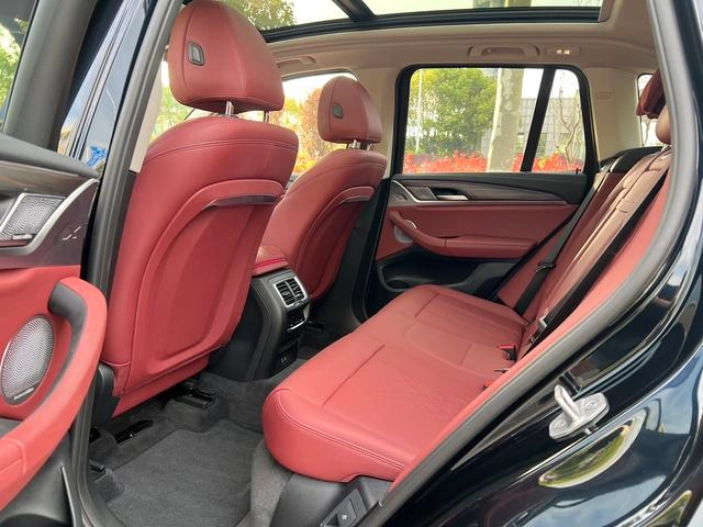 BMW X3 2023 xDrive30i Leading Type M Obsidian Night Suit exterior photo 10