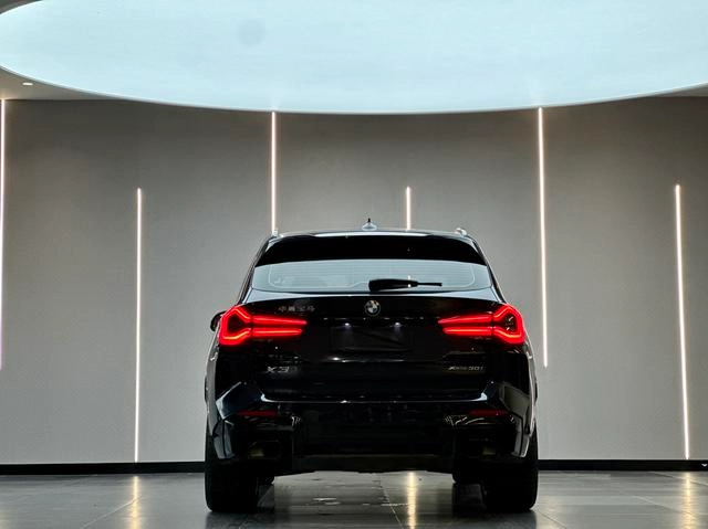 BMW X3 2022 xDrive30i Leading Type M Obsidian Night Suit exterior photo 5