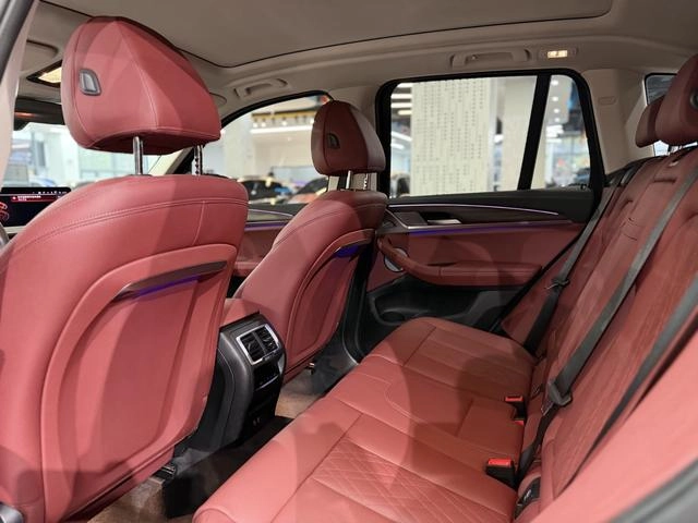 BMW X3 2023 xDrive30i Leading Type M Obsidian Night Suit exterior photo 4