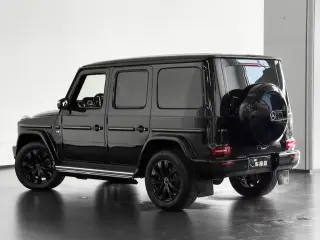 Mercedes-Benz G-Class 2021 G 500 Chiyan édition spéciale intérieur photo 14 Mercedes-Benz G-Class 2021 G 500 Chiyan édition spéciale intérieur photo 14