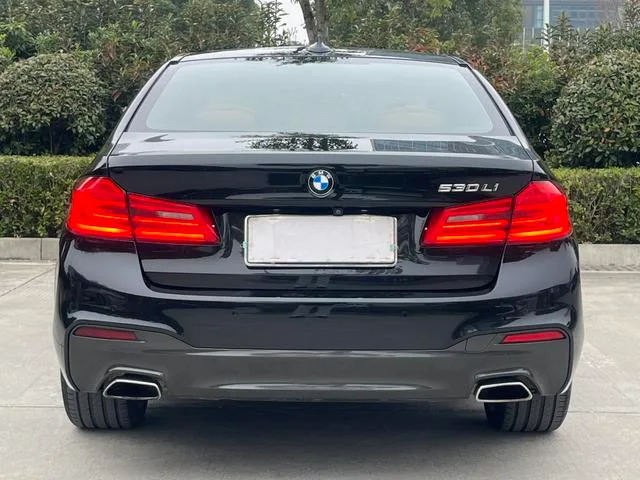 BMW 5 Series 2020 530Li Leading Type M Sports suit exterior photo 4