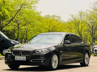 BMW 5 Series 2017 525Li Ensemble de design de luxe
