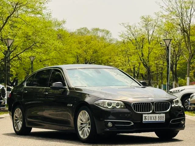 BMW 5 Series 2017 525Li Ensemble de design de luxe extérieur photo 3