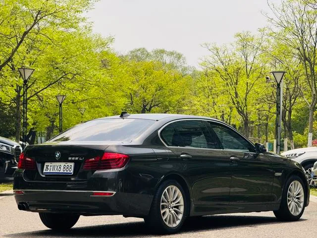 BMW 5 Series 2017 525Li Ensemble de design de luxe extérieur photo 4