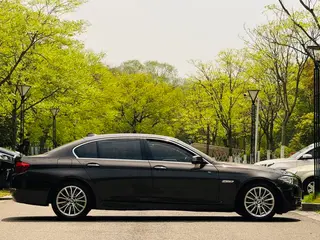 BMW 5 Series 2017 525Li Ensemble de design de luxe extérieur photo 5