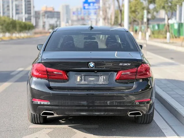 BMW 5 Series 2018 528Li Édition spéciale répertoriée intérieur photo 14 BMW 5 Series 2018 528Li Édition spéciale répertoriée intérieur photo 14