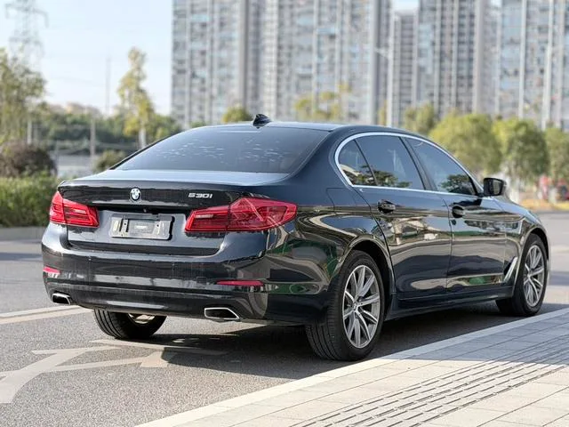 BMW 5 Series 2018 528Li Édition spéciale répertoriée intérieur photo 15 BMW 5 Series 2018 528Li Édition spéciale répertoriée intérieur photo 15