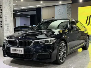 BMW 5 Series 2019 530Li Лидирующий M Спортивный костюм экстерьер фото 1