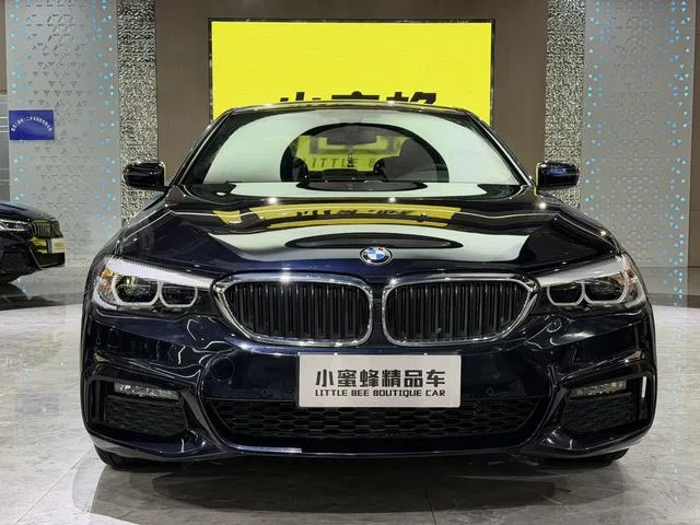 BMW 5 Series 2019 530Li Лидирующий M Спортивный костюм экстерьер фото 2