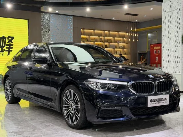 BMW 5 Series 2019 530Li Лидирующий M Спортивный костюм экстерьер фото 3