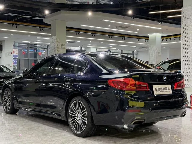 BMW 5 Series 2019 530Li Лидирующий M Спортивный костюм интерьер фото 14