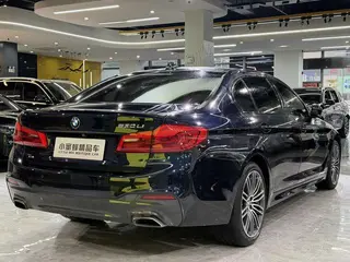 BMW 5 Series 2019 530Li Лидирующий M Спортивный костюм интерьер фото 16