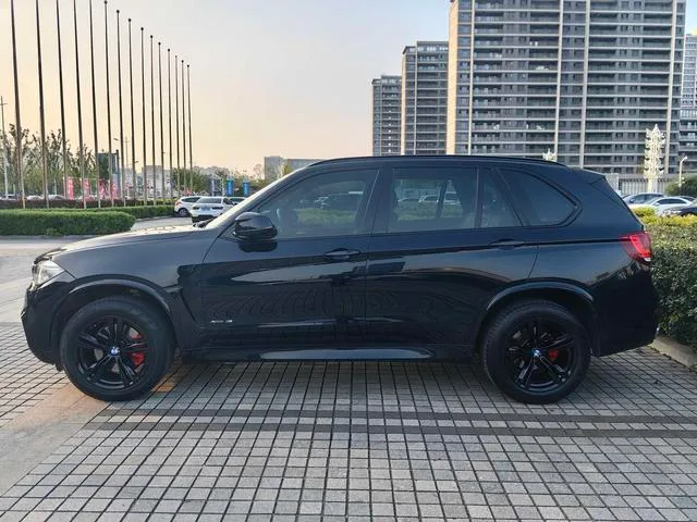 BMW X5 2017 xDrive35i Leader intérieur photo 9