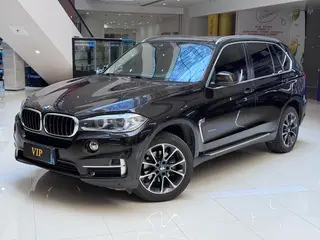 BMW X5 2014 xDrive35i Leading Type exterior photo 1