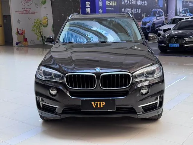 BMW X5 2014 xDrive35i Leading Type exterior photo 2