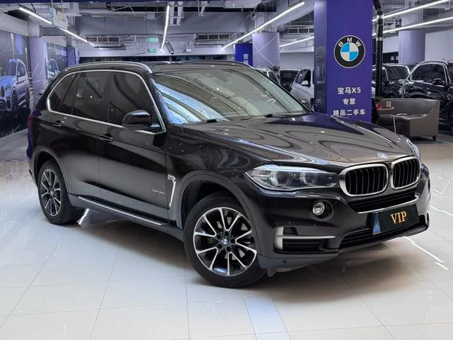 BMW X5 2014 xDrive35i Leading Type exterior photo 3