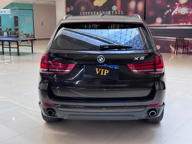 BMW X5 2014 xDrive35i Leading Type interior photo 8