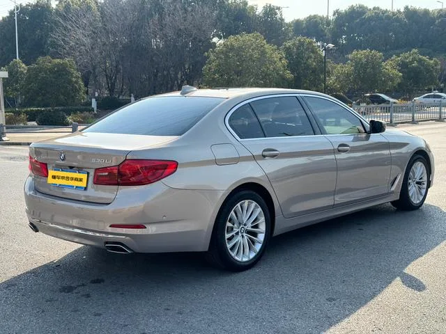 BMW 5 Series 2019 Mise à jour 530Li Type de luxe Ensemble de luxe extérieur photo 4