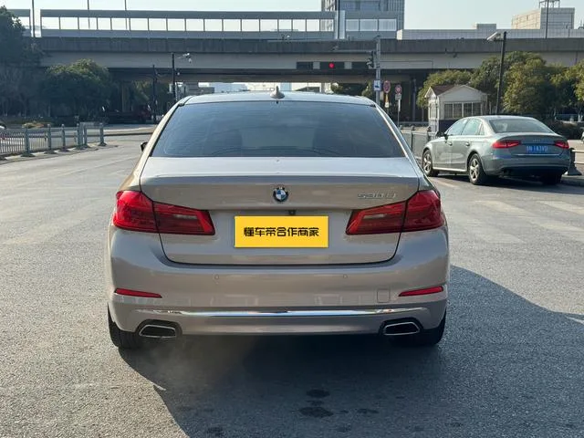 BMW 5 Series 2019 Mise à jour 530Li Type de luxe Ensemble de luxe extérieur photo 5