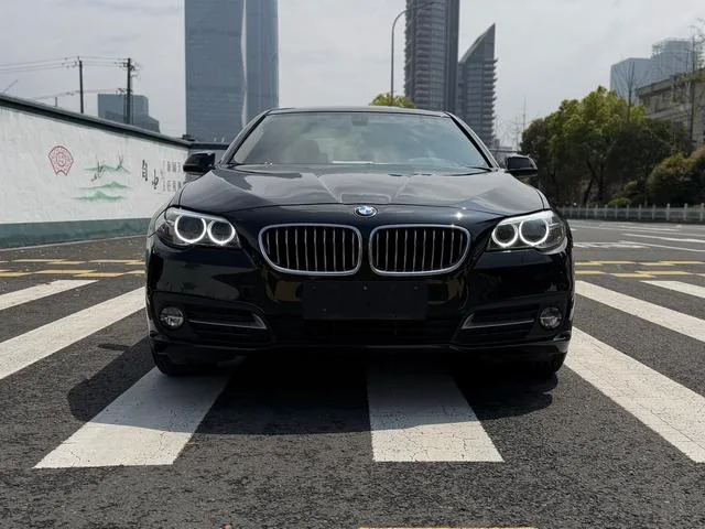 BMW 5 Series 2017 520Li Elegant style exterior photo 2