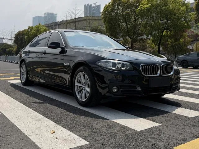 BMW 5 Series 2017 520Li Elegant style exterior photo 3